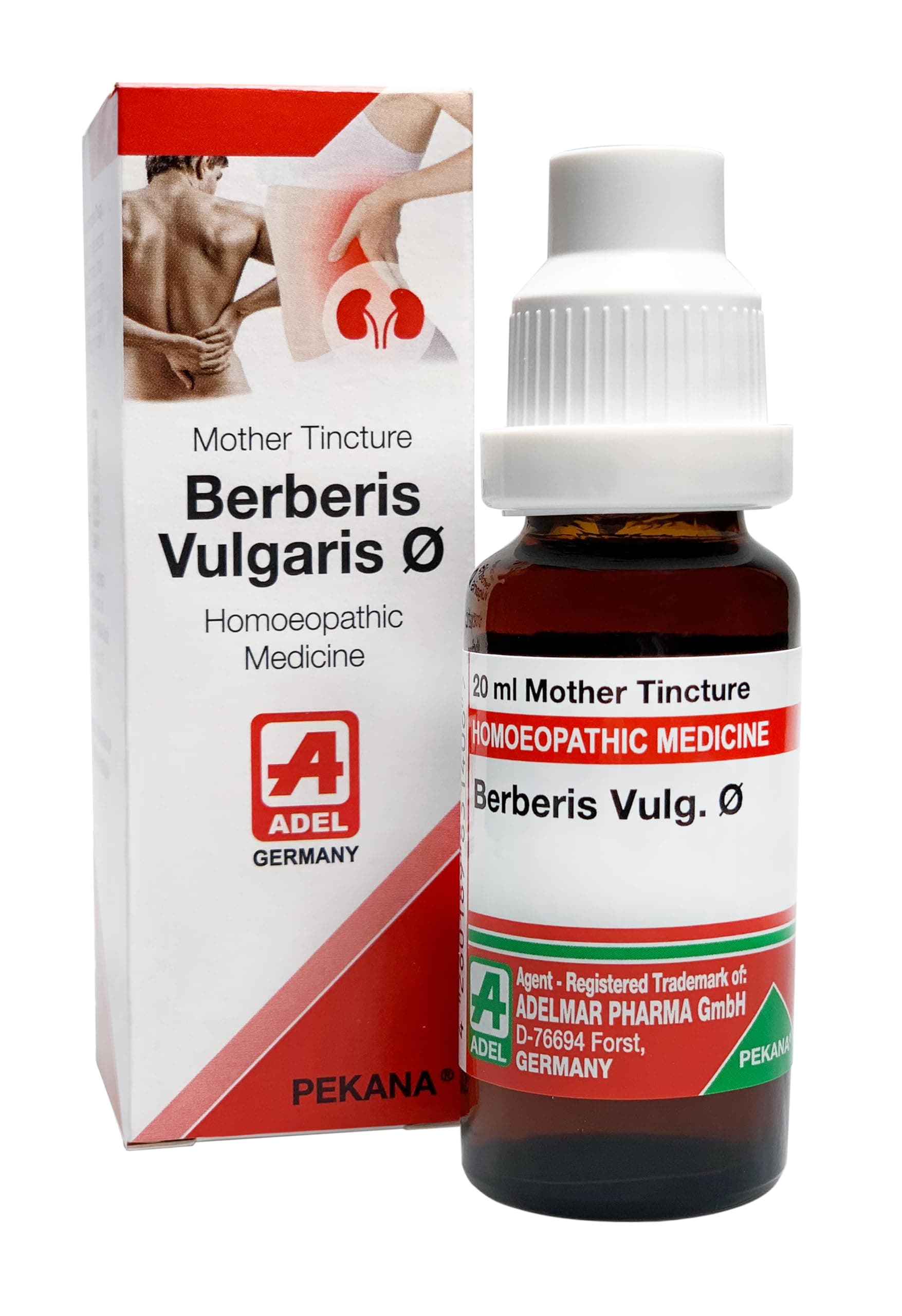 Adel Berberis Vulgaris Q